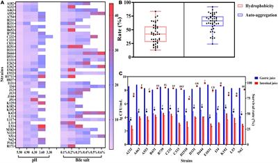 Assessments of Probiotic Potentials of Lactiplantibacillus plantarum Strains Isolated From Chinese Traditional Fermented Food: Phenotypic and Genomic Analysis